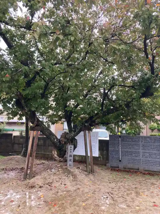 一ノ宮神社の自然