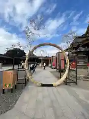 大杉神社(茨城県)