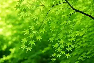 木舟山　順教寺(広島県)