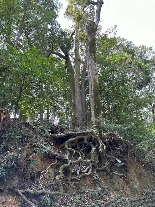 射山神社(三重県)