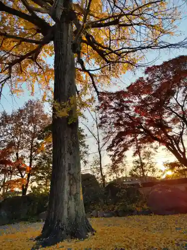 宗禅寺の庭園