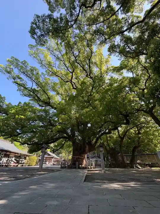 大麻比古神社(徳島県)