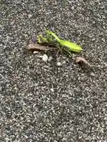 白山神社(福井県)