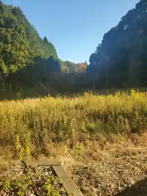 夜刀神社(愛宕神社境内社)の周辺