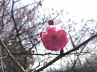 藤島神社(贈正一位新田義貞公之大宮)(福井県)