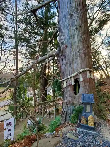 阿久津「田村神社」（郡山市阿久津町）旧社名：伊豆箱根三嶋三社(福島県)