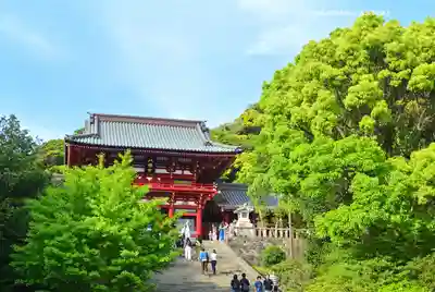 鶴岡八幡宮(神奈川県)