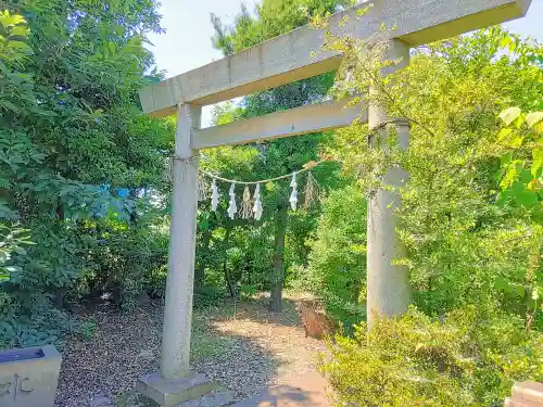 宗形社の鳥居