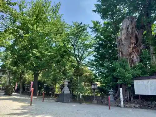 諏訪神社(鹿児島県)