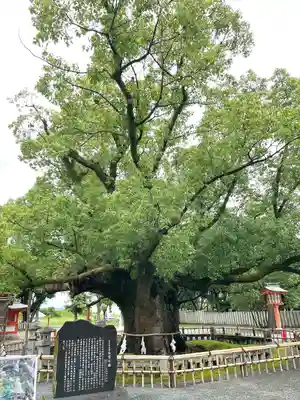 風浪宮(福岡県)