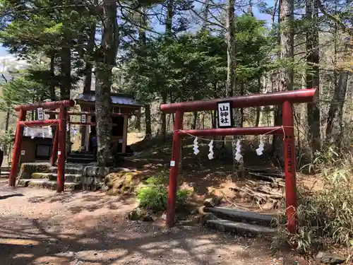 新屋山神社奥宮の鳥居