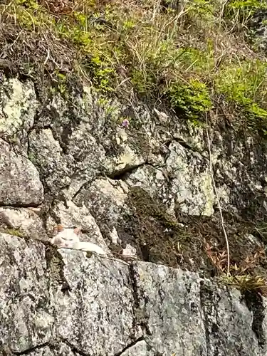 龍泉寺(岡山県)