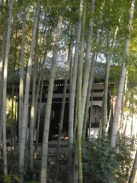 長谷寺のその他建物