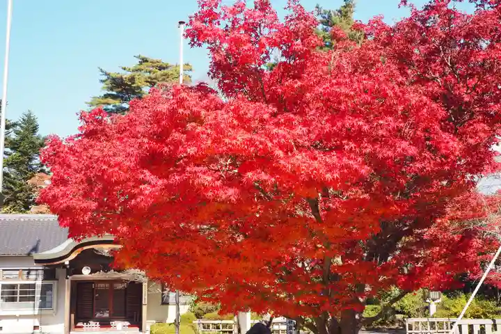 宮城縣護國神社の自然