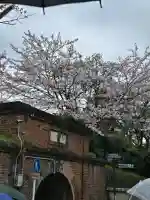 南禅寺の{uncategorized: "未分類", other: "その他", undefined: "問題あり", building: "その他建物", grave: "お墓", sacred_gate: "鳥居", guardian: "狛犬", statue: "像", buddha: "仏像", history: "歴史", nature: "自然", garden: "庭園", animal: "動物", pagoda: "塔", temizu: "手水舎", mountain_gate: "山門・神門", sanctuary: "本殿・本堂", subordinate: "末社・摂社", art: "芸術", scenery: "景色", jizo: "地蔵", ema: "絵馬", goshuin: "御朱印", omikuji: "おみくじ", items: "授与品その他", amulet: "お守り", goshuincho: "御朱印帳", eats: "食事", festival: "お祭り", votive_dance: "神楽", shichigosan: "七五三参", wedding: "結婚式", experience: "体験その他", initially: "初詣", around: "周辺", anti_infection: "感染症対策"}