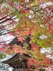 新海三社神社(長野県)