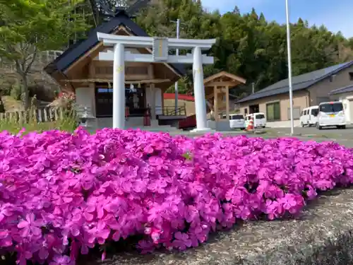 白山姫神社の鳥居