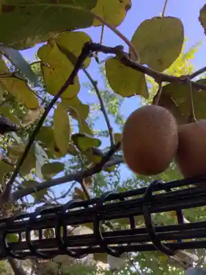 勝川廃寺「醍醐寺跡」(愛知県)