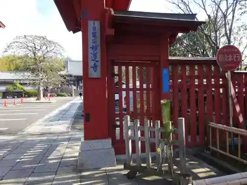 妙蓮寺の山門