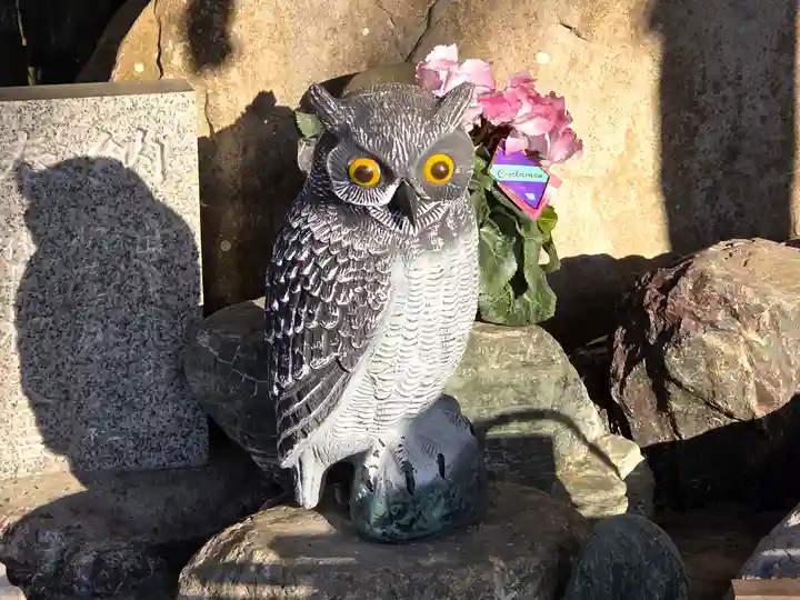 諏訪神社(鹿児島県)
