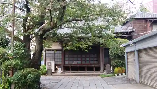 大信寺の本殿・本堂