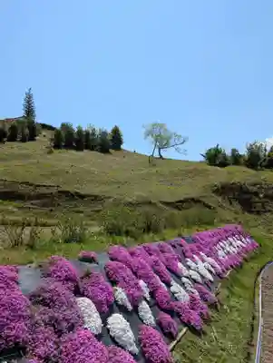 法輪寺(岡山県)