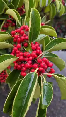 田縣神社(愛知県)