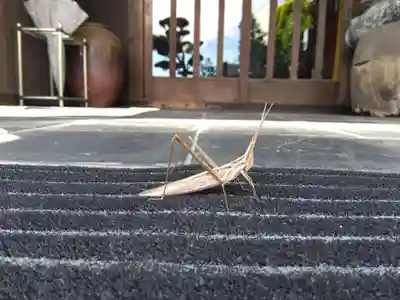 常楽寺(愛知県)