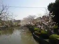 鶴岡八幡宮の庭園