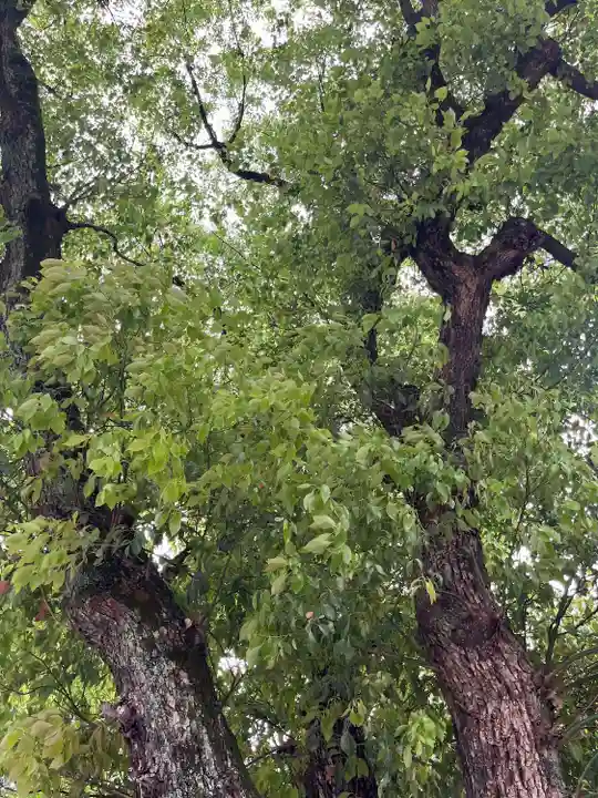 大森神社(東京都)