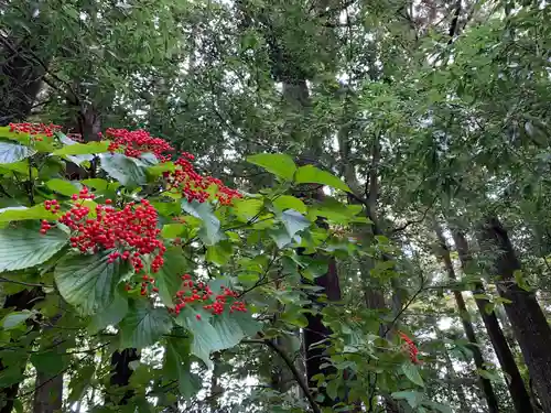 雄山神社前立社壇(富山県)