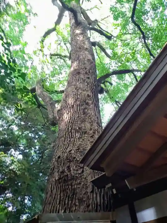 乃木神社(東京都)