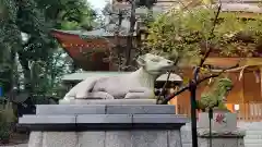 小金井神社の狛犬