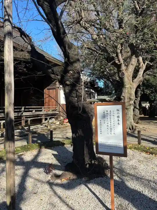 靖國神社(東京都)