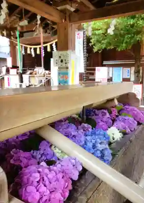 鳩森八幡神社の手水舎