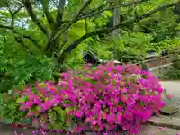 中尾神社の自然