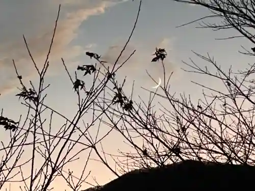 三峯神社(埼玉県)