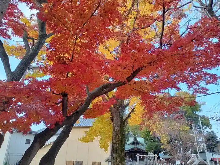 堤根神社の自然