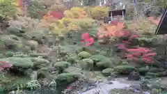 普済寺の庭園