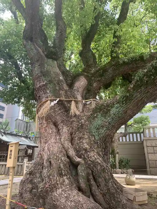 難波神社(大阪府)