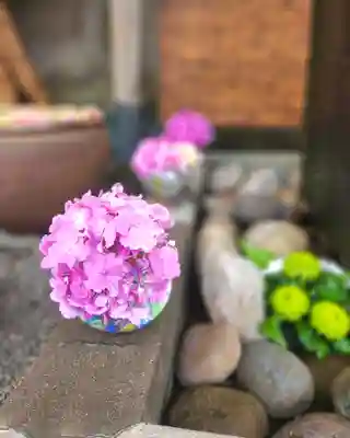上尾御嶽神社の手水舎