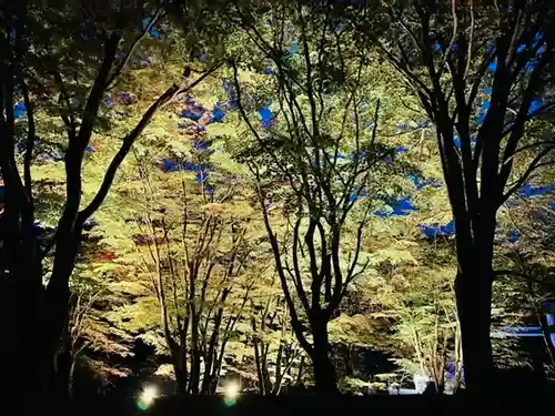 土津神社｜こどもと出世の神さまの自然