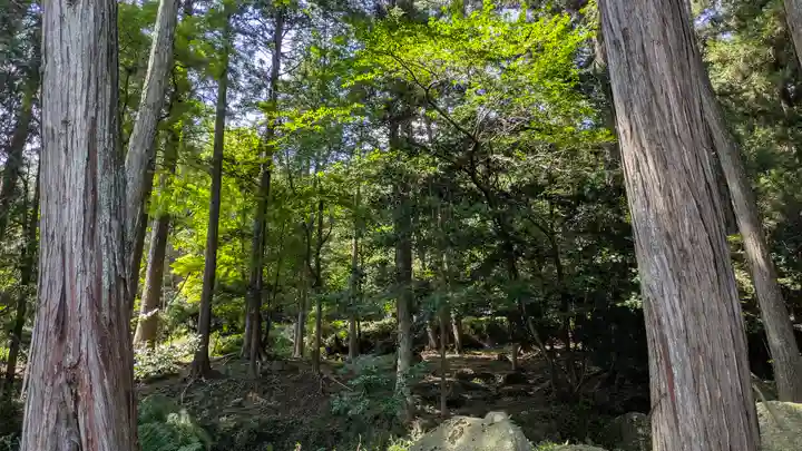 龍潭寺(京都府)
