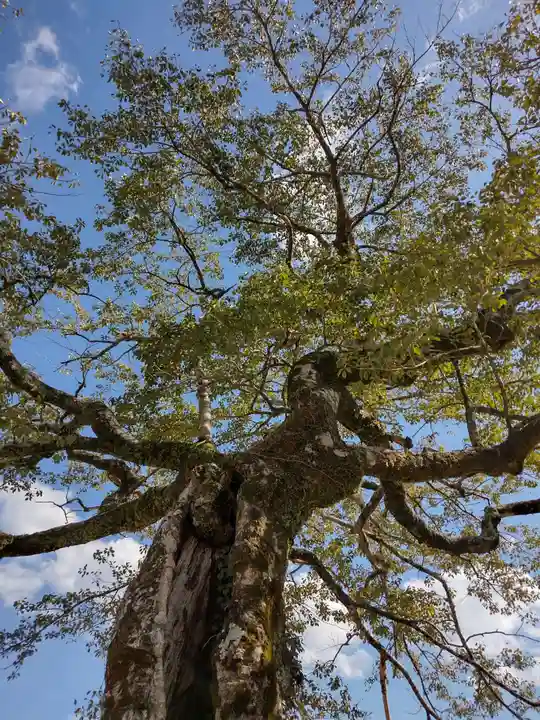 長徳寺(三重県)