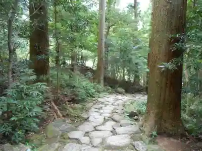 飛瀧神社(熊野那智大社別宮)(和歌山県)