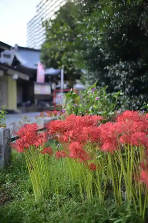 磐井神社の自然