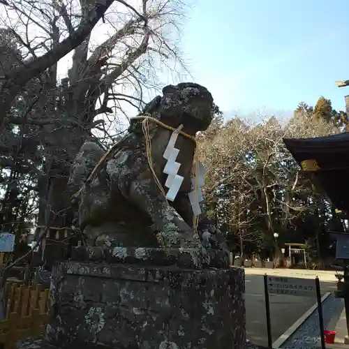 水戸八幡宮の狛犬