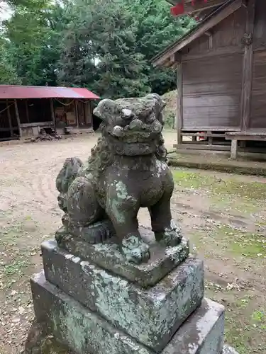 白山神社の狛犬