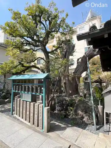 高津山 報恩院の自然