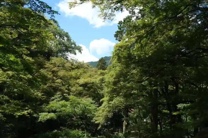 高源寺(兵庫県)